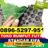 Supplier Rumput Sintetis Futsal Tempuran.jpg