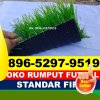 Jual Rumput Sintetis Futsal Deleng Pokhkisen.jpg