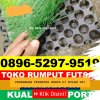 Supplier Rumput Sintetis Futsal Pintu Rime Gayo.jpg