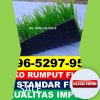 Jual Rumput Sintetis Futsal Tidore Timur.jpg