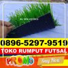 Jual Rumput Sintetis Futsal Pancoran Mas.jpg