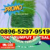 Supplier Rumput Sintetis Futsal Daha Selatan.jpg