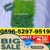 Supplier Rumput Sintetis Futsal Danau Sembuluh.jpg