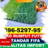 Supplier Rumput Sintetis Futsal Ternate Utara.jpg