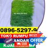 Supplier Rumput Sintetis Futsal Darangdan.jpg