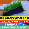 Jual Rumput Sintetis Futsal Donggo.jpg