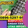 Supplier Rumput Sintetis Futsal Kraton.jpg