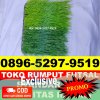 Supplier Rumput Sintetis Futsal Dayeuhkolot.jpg