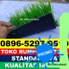 Jual Rumput Sintetis Futsal Dukuhseti.jpg