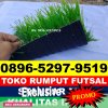 Jual Rumput Sintetis Futsal Dumai Barat.jpg