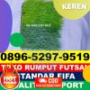 Supplier Rumput Sintetis Futsal Delta Pawan.jpg