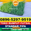 Produsen Rumput Sintetis Futsal Duampanua.jpg