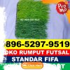 Pusat Rumput Sintetis Futsal Tebo Ilir.jpg