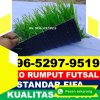 Jual Rumput Sintetis Futsal Tonjong.jpg