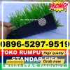 Jual Rumput Sintetis Futsal Dusun Tengah.jpg