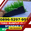 Jual Rumput Sintetis Futsal Tosari.jpg