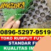 Supplier Rumput Sintetis Futsal Kualuh Hilir.jpg