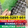 Supplier Rumput Sintetis Futsal Kubu Babussalam.jpg