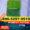 Supplier Rumput Sintetis Futsal Dolok Panribuan.jpg