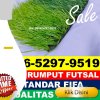 Gudang Rumput Sintetis Futsal Laham.jpg