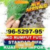 Supplier Rumput Sintetis Futsal Todanan.jpg