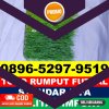 Supplier Rumput Sintetis Futsal Dolopo.jpg