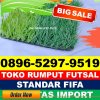 Gudang Rumput Sintetis Futsal Dusun Selatan.jpg