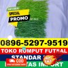 Supplier Rumput Sintetis Futsal Donorojo.jpg