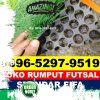 Supplier Rumput Sintetis Futsal Torjun.jpg