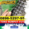 Supplier Rumput Sintetis Futsal Trangkil.jpg