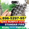 Supplier Rumput Sintetis Futsal Trimurjo.jpg