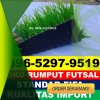 Jual Rumput Sintetis Futsal Turen.jpg