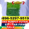 Pusat Rumput Sintetis Futsal Temon.jpg