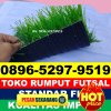 Jual Rumput Sintetis Futsal Gantar.jpg