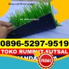 Jual Rumput Sintetis Futsal Ujung Tanah.jpg