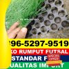 Supplier Rumput Sintetis Futsal Labuhan Haji Barat.jpg