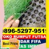 Supplier Rumput Sintetis Futsal Lahewa.jpg