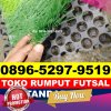 Supplier Rumput Sintetis Futsal Punduh Pidada.jpg