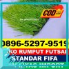 Gudang Rumput Sintetis Futsal Raas.jpg