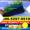 Jual Rumput Sintetis Futsal Ungar.jpg