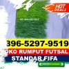 Pusat Rumput Sintetis Futsal Teupah Barat.jpg