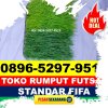 Pusat Rumput Sintetis Futsal Teweh Baru.jpg