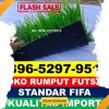 Jual Rumput Sintetis Futsal Patrol.jpg