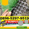 Supplier Rumput Sintetis Futsal Purbatua.jpg