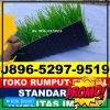 Jual Rumput Sintetis Futsal Kota Agung.jpg