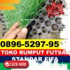 Supplier Rumput Sintetis Futsal Ulakan Tapakis.jpg