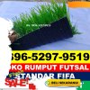 Jual Rumput Sintetis Futsal Pauh.jpg