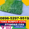 Produsen Rumput Sintetis Futsal Lebaksiu.jpg