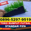 Jual Rumput Sintetis Futsal Geureudong Pase.jpg