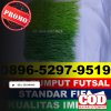 Supplier Rumput Sintetis Futsal Gangga.jpg